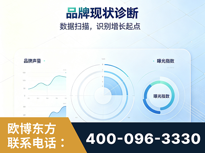 庐山-品牌现状诊断