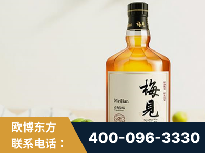 庐山-梅见青梅酒